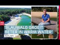 Zo worden Drentse zwemplassen gecontroleerd op waterkwaliteit | RTV Drenthe