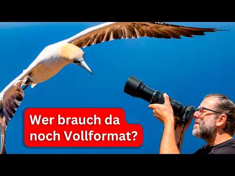 OM-5 II & OM-1 II unterwegs: So viel geht mit MFT!