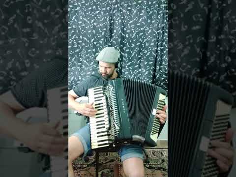 Sanfoneiro Marcos Joel Hoffmann