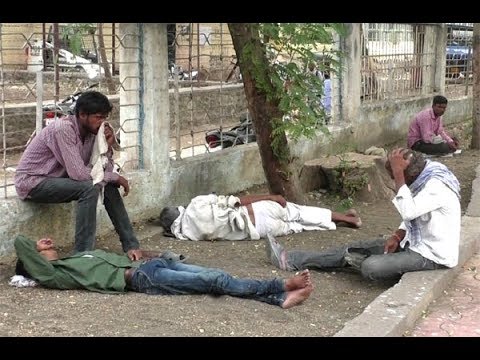 कुणी सावली देतं का सावली?