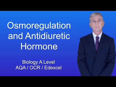 A Level Biology Revision (Year 13) "Osmoregulation and Antidiuretic Hormone (ADH)"