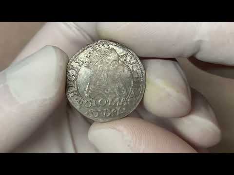 Zygmunt II August, Grosz na stopę polską 1566, Tykocin - piękny