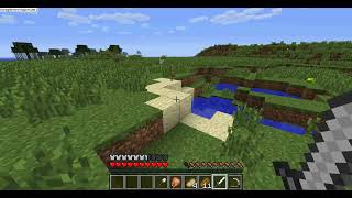 Gameplay of our house