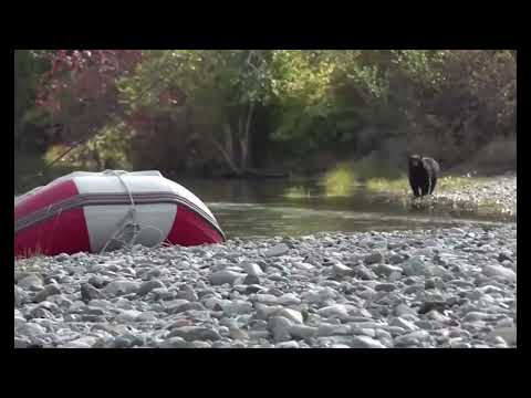 Terrifying Experiences And A Follow Up On Dr Ketchum And I