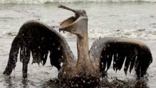 Black Tears:  The saddest video in the world - BP killed the planet - 2 years out and still dying