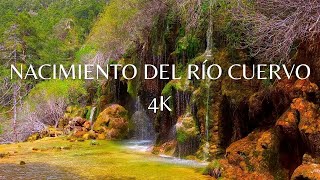 NACIMIENTO DEL RIO CUERVO 4K - MONUMENTO NATURAL EN CUENCA