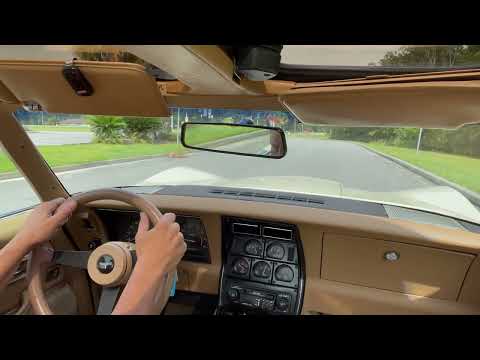 1967 Chevrolet Corvette Stingray (CC-1639293) for sale in Savannah, Georgia