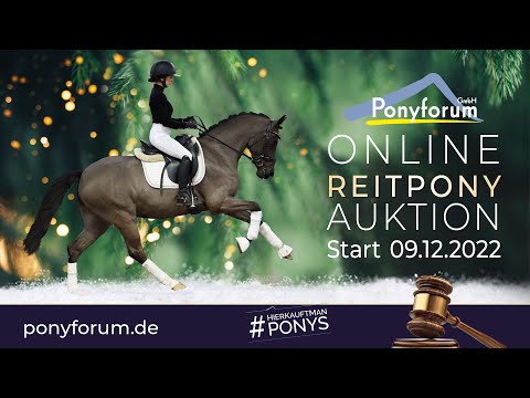 Goldjunge Hengst 2017 v. Golden West NRW  / Oosteinds Ricky