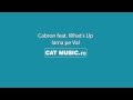 Cabron - Iarna pe val [feat. What's Up & Iony ...