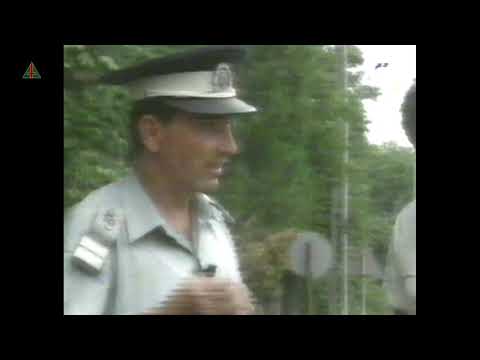 Evenimentele de la Cerțești (TVR1, 1996)