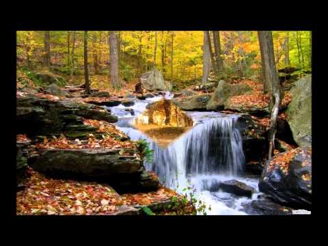 Patriot ft Seymur Vocal Miro Yeniden Sev