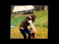 Kazeti Teresa Amber First Ever Time Doing Basic Agility Training In Our Training Classes 5months