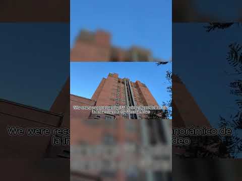 Montevideo's Best Kept Secret is Completely Free #travel #montevideo #shorts