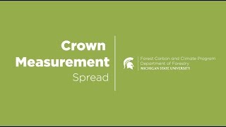 Crown Measurement: Spread