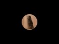 Blaze U, Kilian K, Mr. Stache, Michael Caspar - Francesco [Longer version]