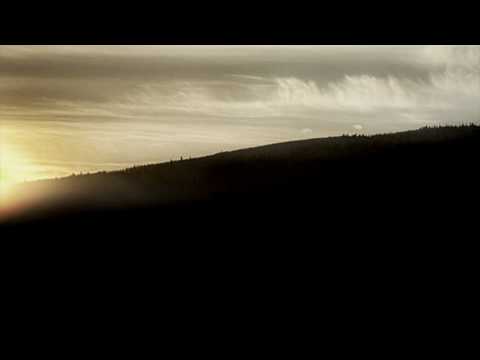 WEELTA - WEEDY & DELTA EXPRESSION DIREKT