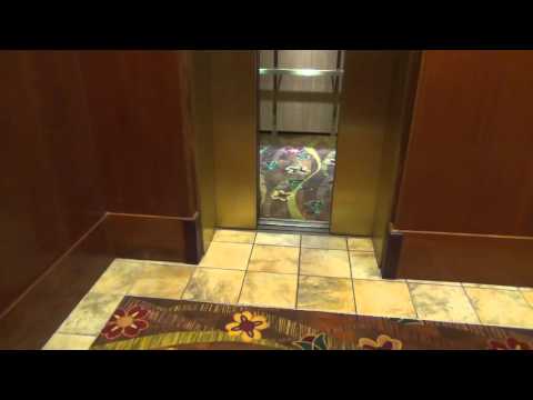 Schindler Traction Elevators - Grand Casino Hinckley - Hinckley, MN