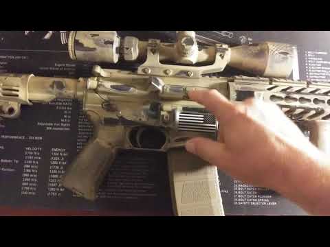 Unbrandedar forward assist, and dust cover review