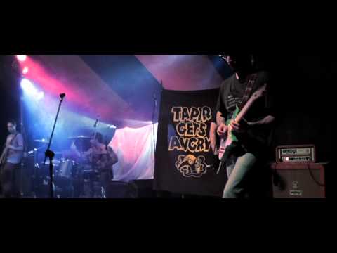 Tapir Gets Angry - Sensations (Live at Festintenda 2012)