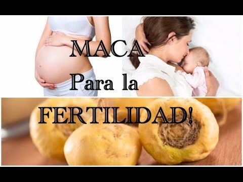 STARBIEN omnilife con maca Peruana y complejo b - Apoya la salud del Cerebro - la salud masculina y femenina - ademas ayuda al sistema inmunologico 10 Maca para la Fertilidad o Infertilidad: Beneficios