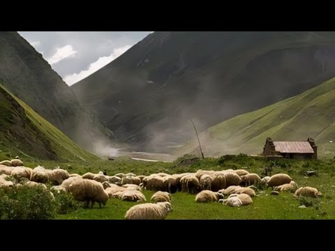 , title : 'وثائقي رعاة الاغنام في جبال داغستان'