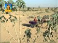 Bego Tor Unth Gado  | Rajasthani HD Folk Song | Gurmukh Musafir, Rashmi Arora | Rangilo Rajasthan