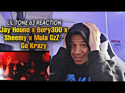 SONG OF THE YEAR? Jay Hound x Bory 300 x Sheemy× MulaGzz - Go Krazy (Shot by CHD) LilTone63 Reaction