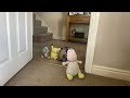 The Secret Life Of Cuddlies Part 3 The Keyboard