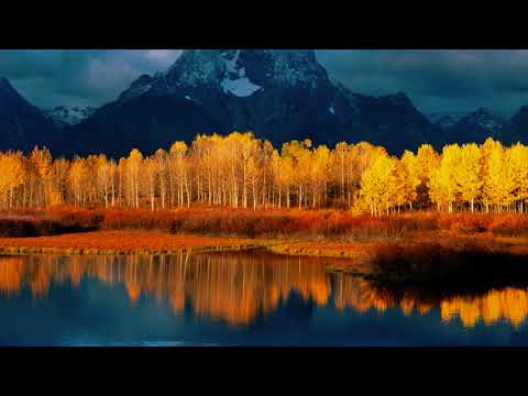 D.Jameson  - Progressive House Mix Vol.01