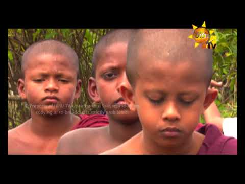Hiru TV