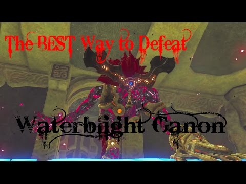 The BEST Way to Defeat Waterblight Ganon - Vah Ruta Divine Beast
