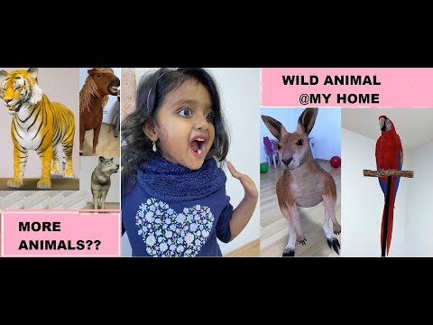 Learn ABC with Animals | Animal Names from A to Z | Navisha and all the animal in her house