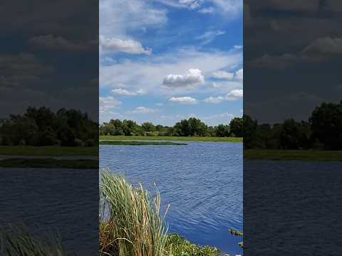 Laguna de San Vicente en Buenos Aires Argentina