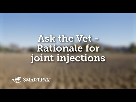 Ask the Vet - Rationale for joint injections