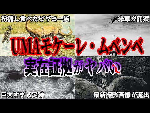 地図で見る: オーストラリア