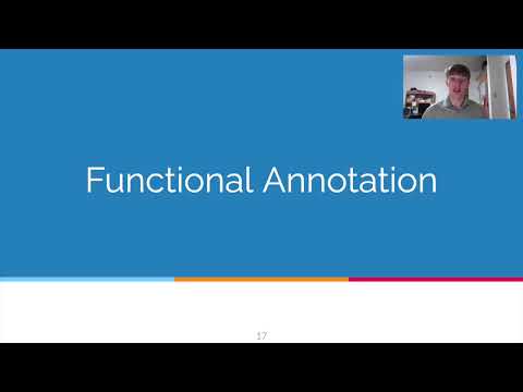 <p>Isolation and Annotation of Novel Bacteriophage Rosepharie</p>
