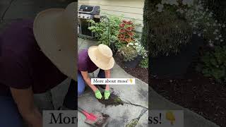 💚😍How to Transplant Moss