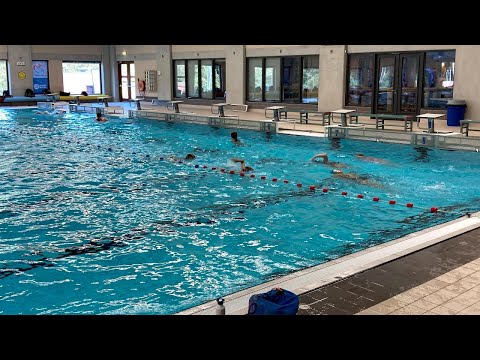 GZC Donk Da1- De Ham Da1