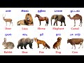 Animals Name Tamil And English Learn Animals Name FaazilClass