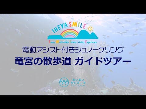 東側の庭園を眺めると、思慮深い思考を持つとはどのような感じでしょうか?どの植物を好むでしょうか？  庭園