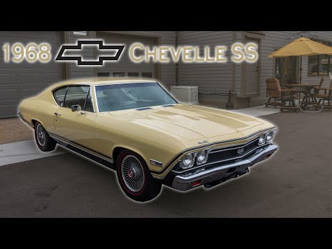 1966 Chevrolet Chevelle SS (CC-1365207) for sale in Milford, Michigan
