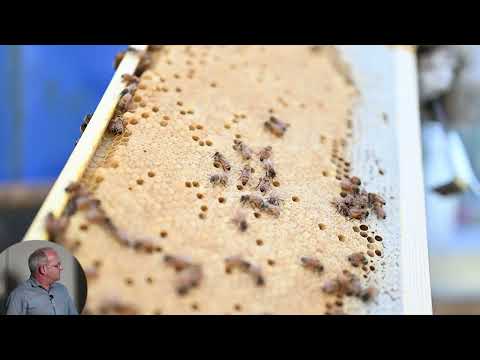 Informative Oxalic Acid Video thumbnail