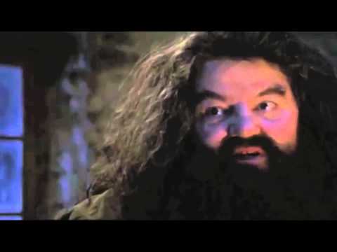 Ich bin ein Neger...