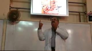 Dr. Ehab - Nerve supply of the Face