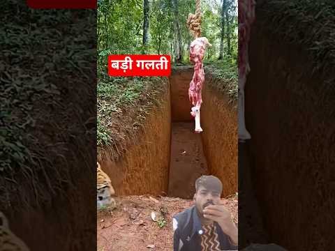 What happened in the end? See how this predator got out. #wildlife #nature #leopard #wildshailendra