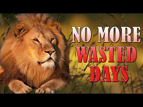 NO MORE WASTED OPPORTUNITIES  Powerful Les Brown Jim Rohn Td Jakes Motivational speech 2024