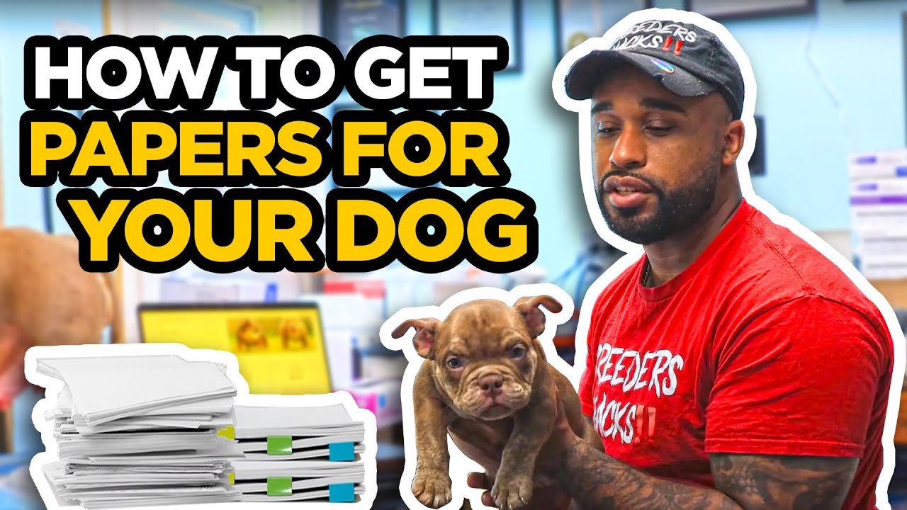 How to get papers for dogs! (For dogs without papers)