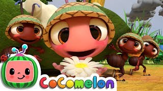 The Ants Go Marching | CoComelon Nursery Rhymes &amp; Kids Songs