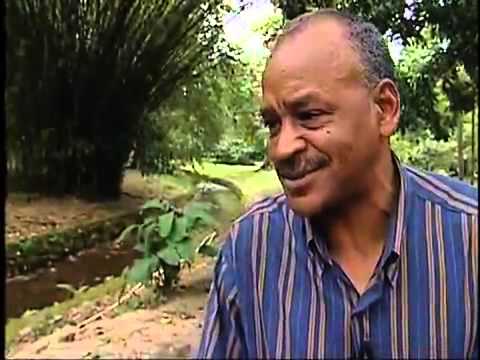 Jogos para Sempre SPORTV   1984   Corinthians 0x2 Fluminense   Assis