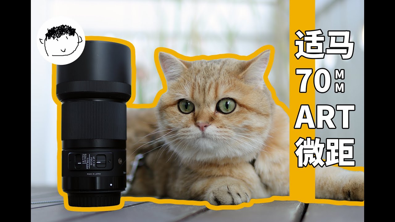 是【小甜甜】还是【牛夫人】？适马70MM F2.8 ART 微距长期使用体验